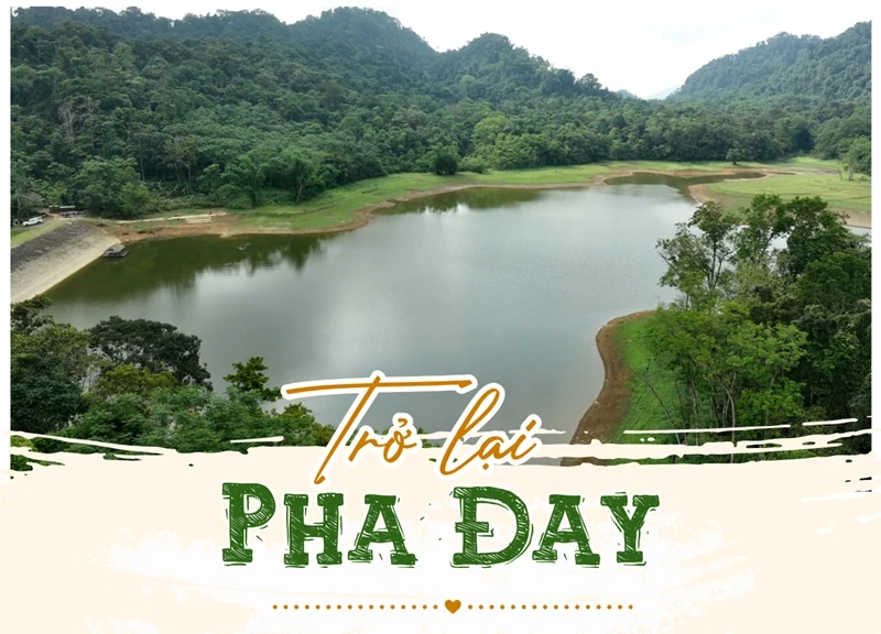 Trở lại Pha Đay