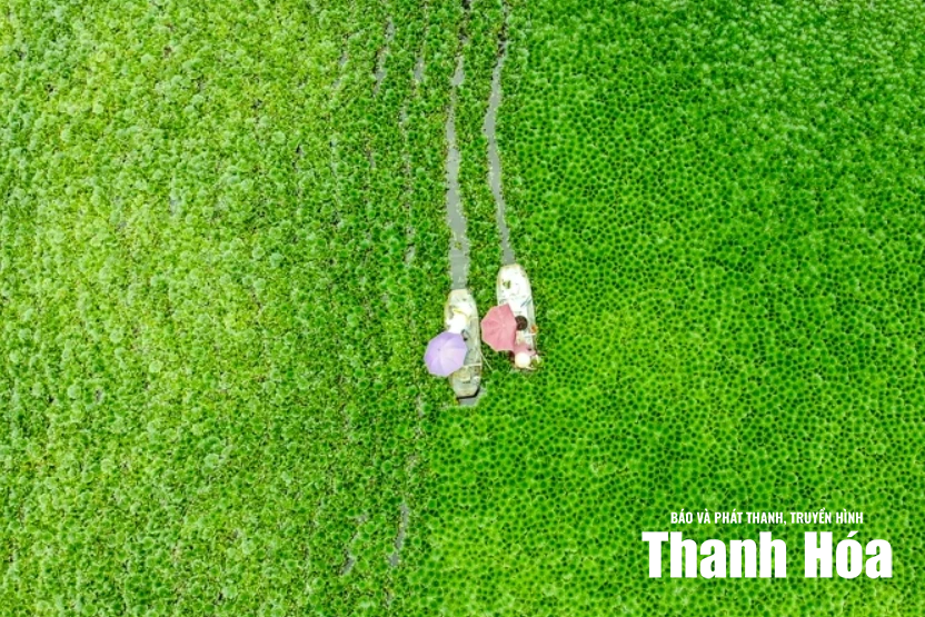 [Thanh Hóa xưa và nay] “Tràng An thu nhỏ” giữa lòng xứ Thanh