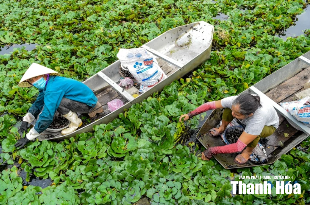 [Thanh Hóa xưa và nay] “Tràng An thu nhỏ” giữa lòng xứ Thanh