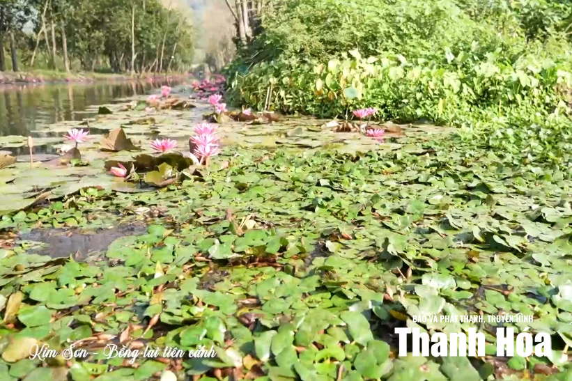 [Thanh Hóa xưa và nay] “Tràng An thu nhỏ” giữa lòng xứ Thanh