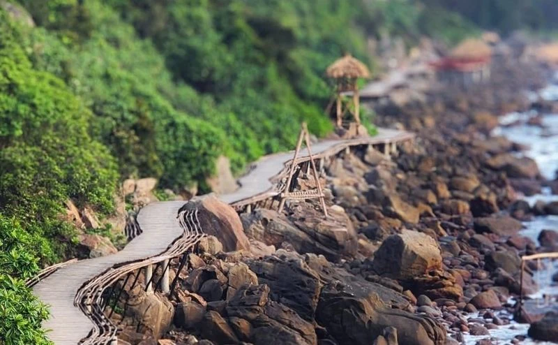 [Thanh Hóa xưa và nay] Ngắm Bãi Đông từ cây cầu gỗ uốn quanh biển