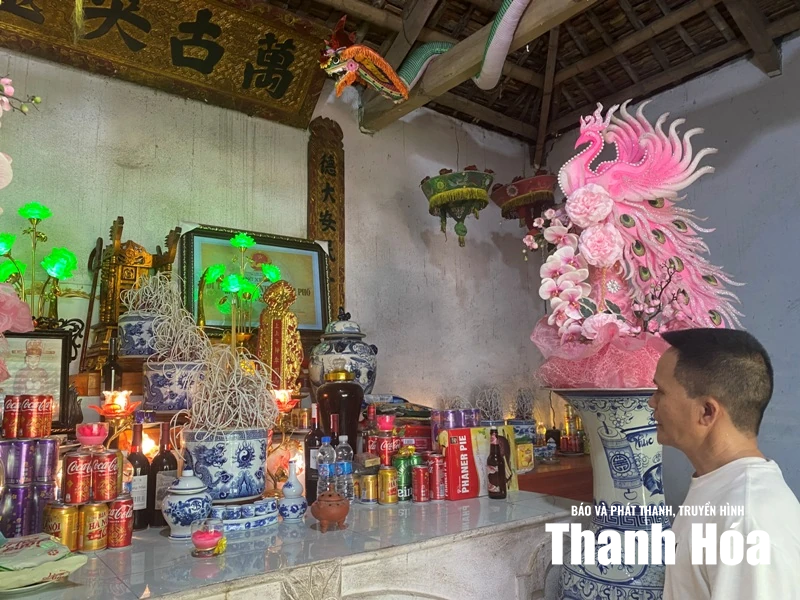 Trên đỉnh núi Sồi