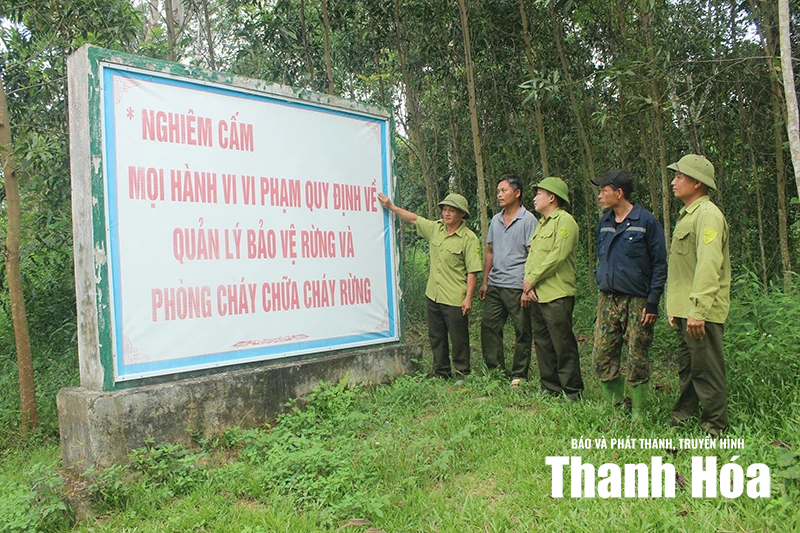 Để những cánh rừng mãi xanh