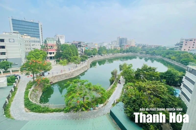 Khoảng xanh của phố