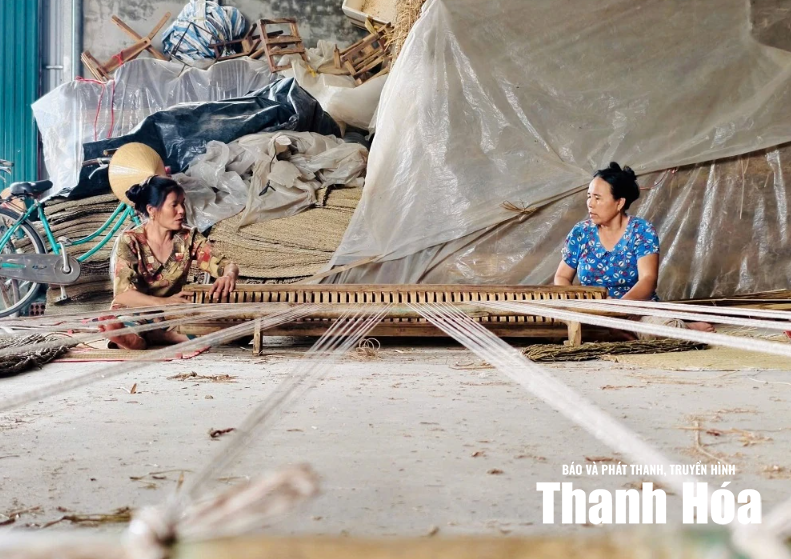 [Thanh Hóa xưa và nay] Gìn giữ hồn quê qua từng sợi cói