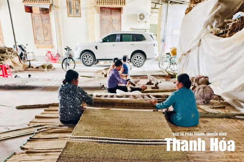 [Thanh Hóa xưa và nay] Gìn giữ hồn quê qua từng sợi cói