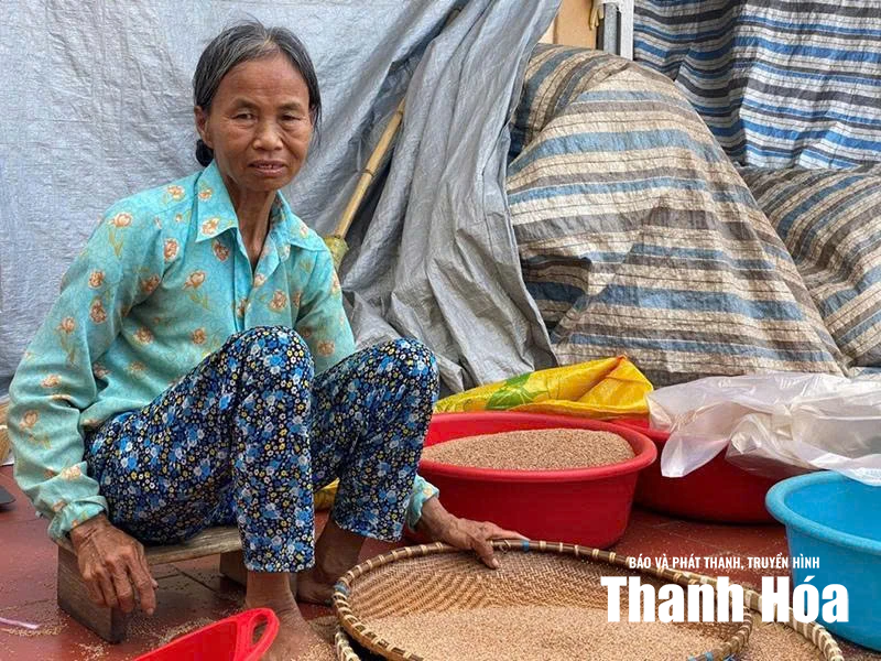 Khi lòng tin bị định giá (Bài 1): “Hụi ơi”!!