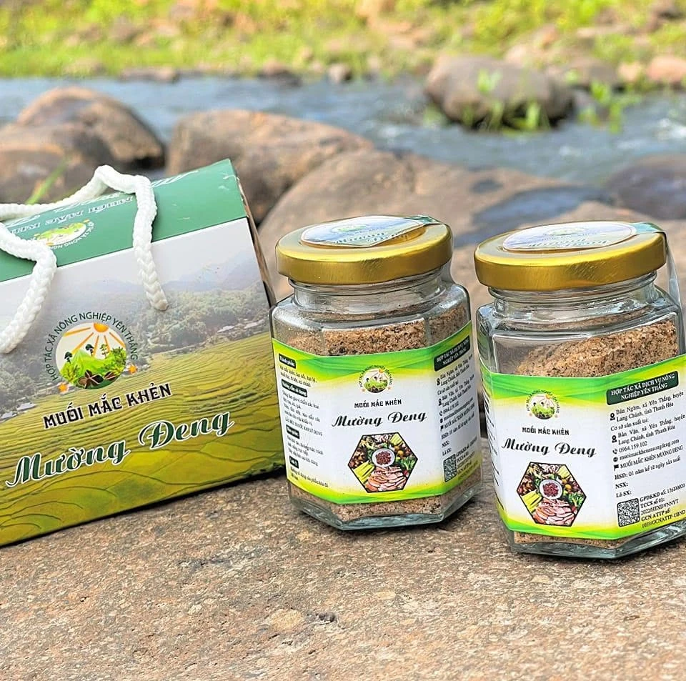 [E-Magazine] Hương vị của núi rừng...