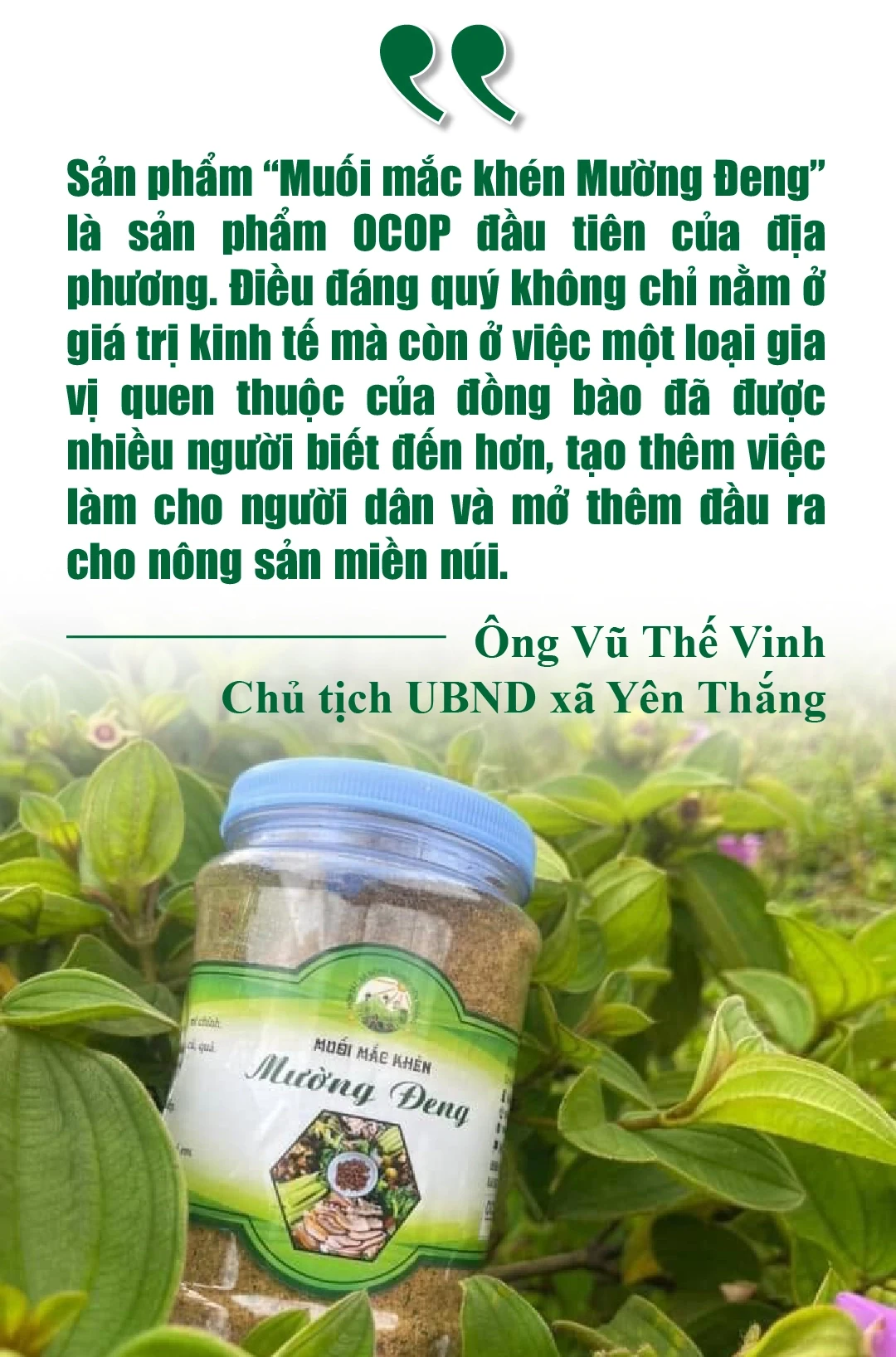 [E-Magazine] Hương vị của núi rừng...