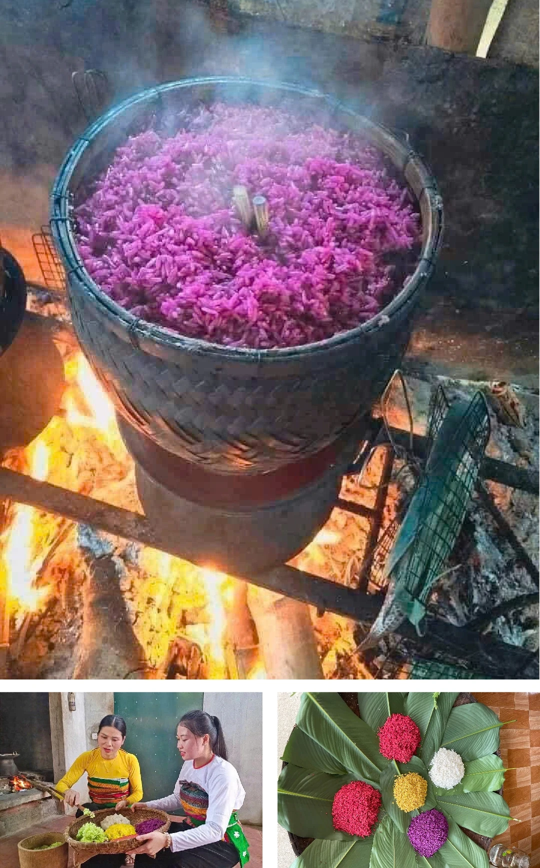 [E-Magazine] Hương vị của núi rừng...