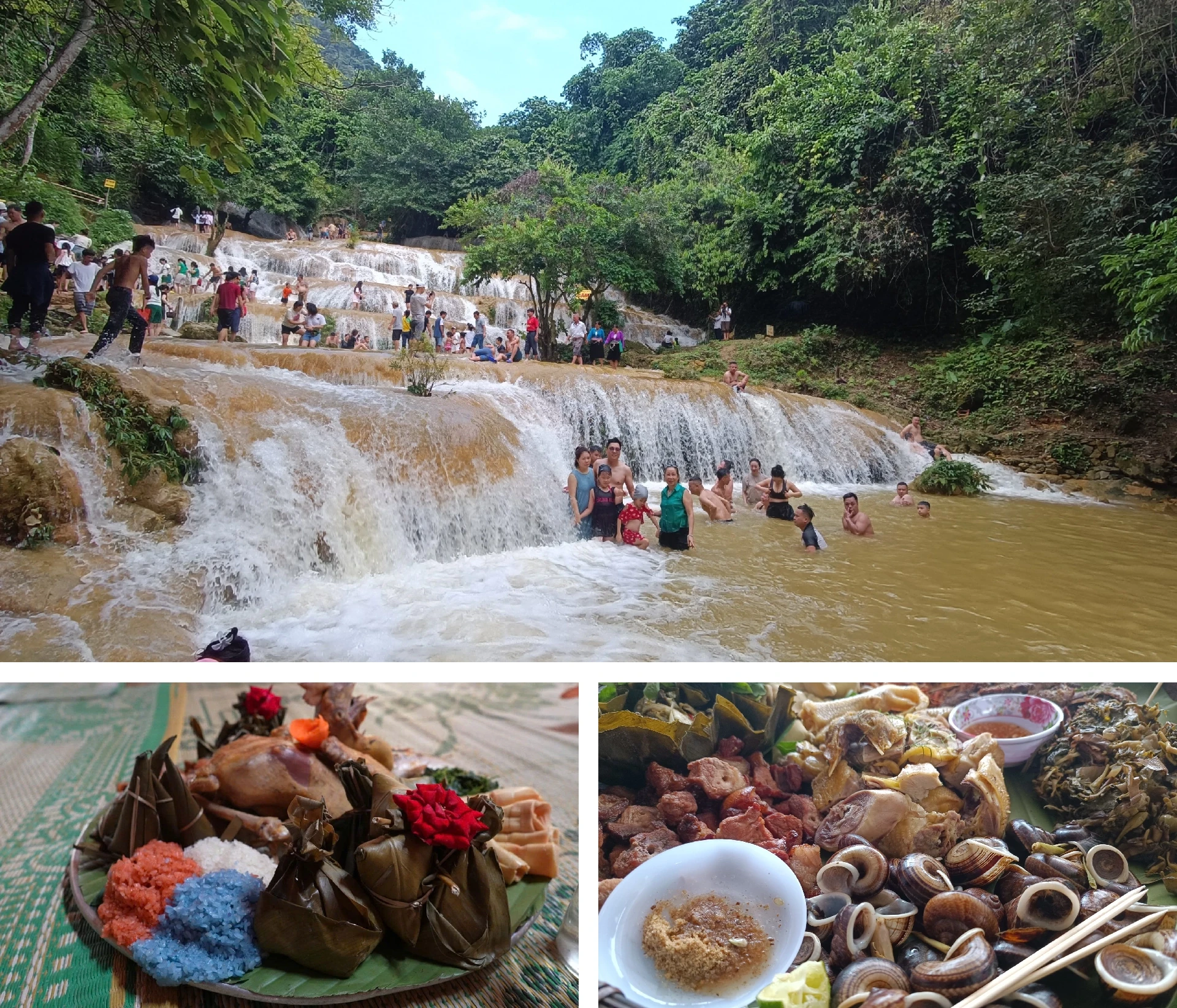 [E-Magazine] Hương vị của núi rừng...