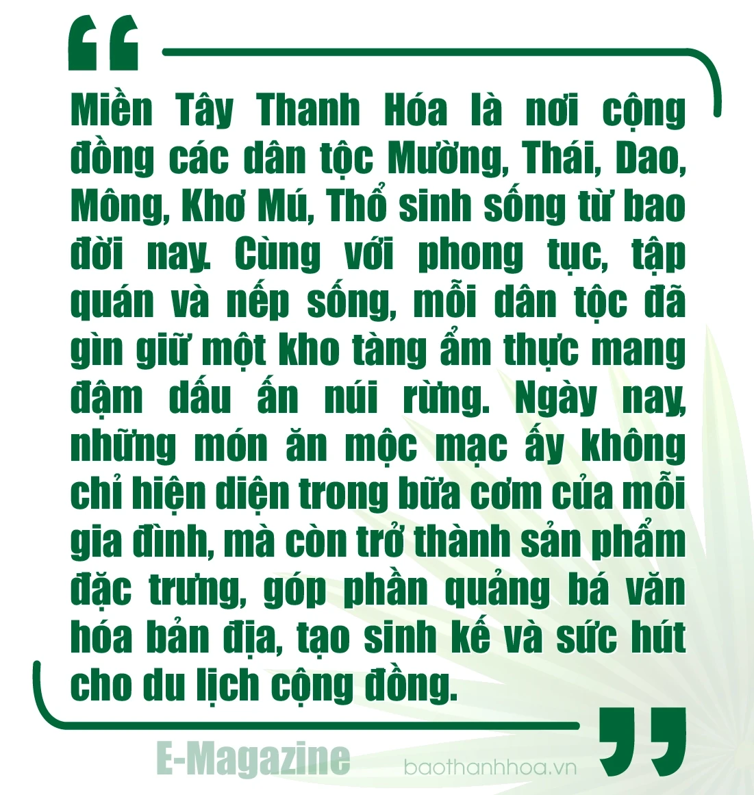 [E-Magazine] Hương vị của núi rừng...