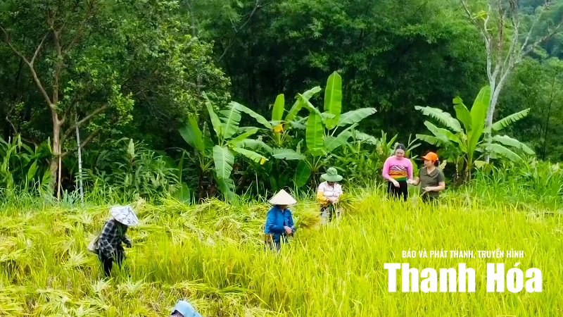 [Thanh Hóa xưa và nay] Phú Lệ - Vẻ đẹp diễm lệ của đại ngàn