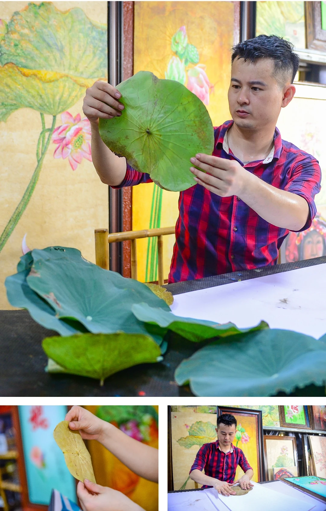 [E-Magazine] Đánh thức vẻ đẹp ngủ quên trên từng chiếc lá sen