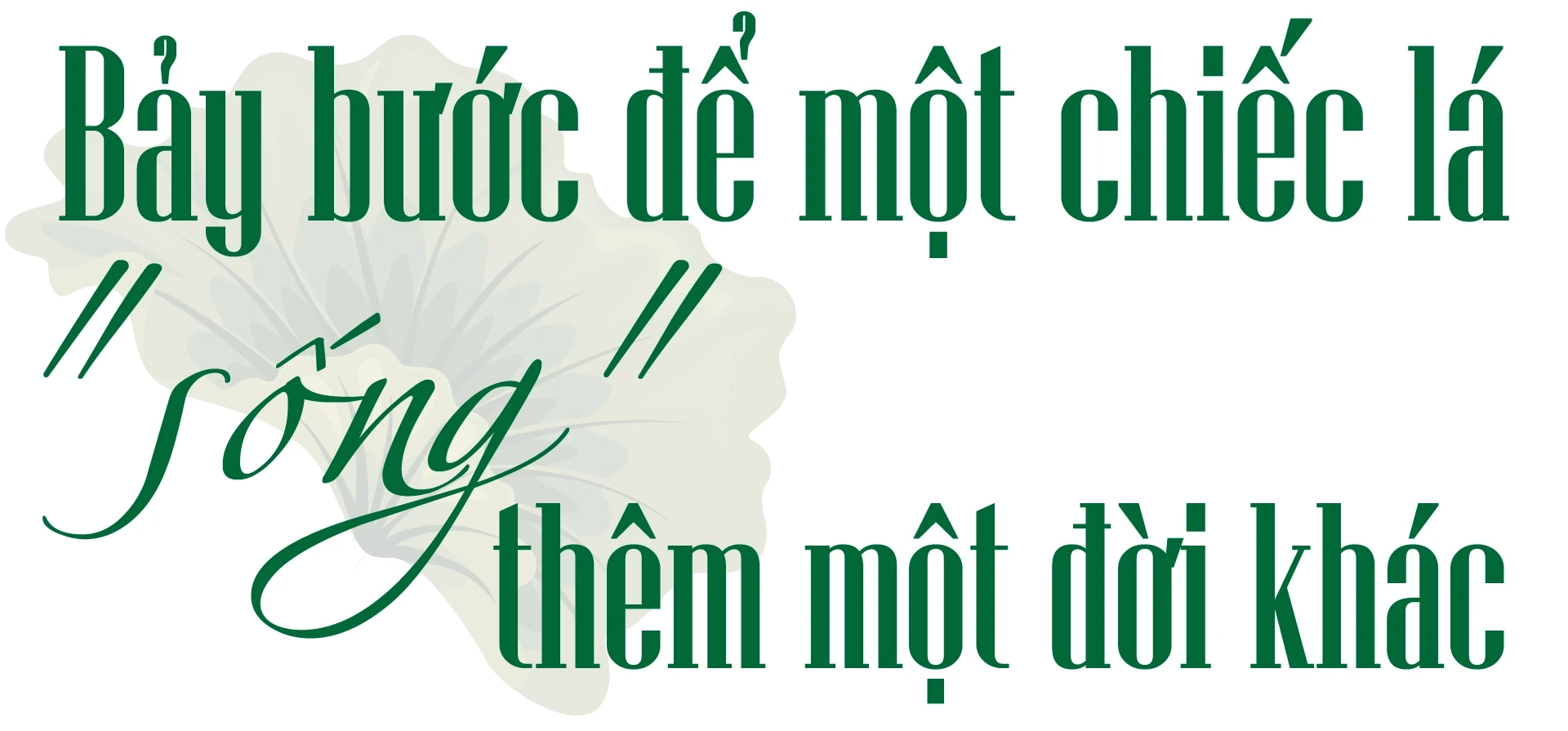 [E-Magazine] Đánh thức vẻ đẹp ngủ quên trên từng chiếc lá sen