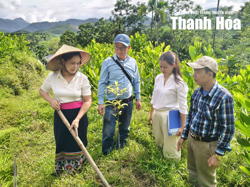 Tăng khả năng ứng phó với thiên tai từ những mô hình sinh kế bền vững