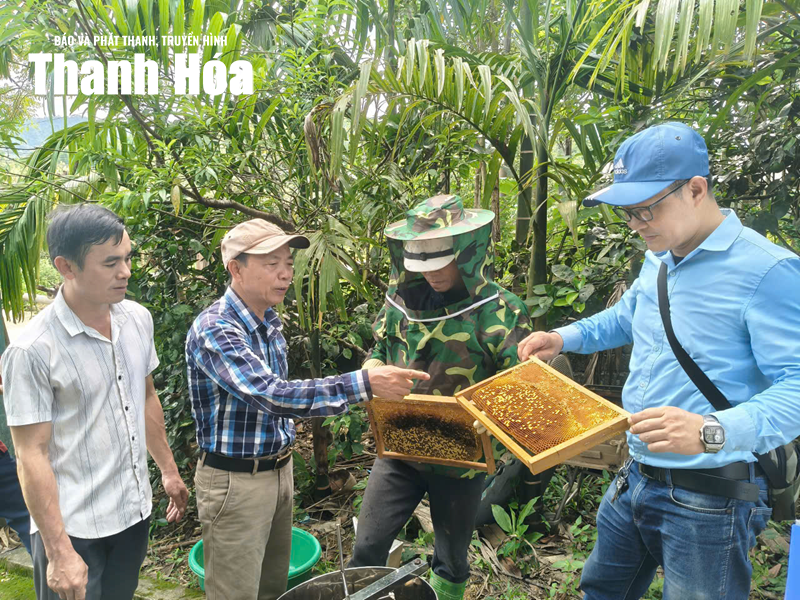 Tăng khả năng ứng phó với thiên tai từ những mô hình sinh kế bền vững