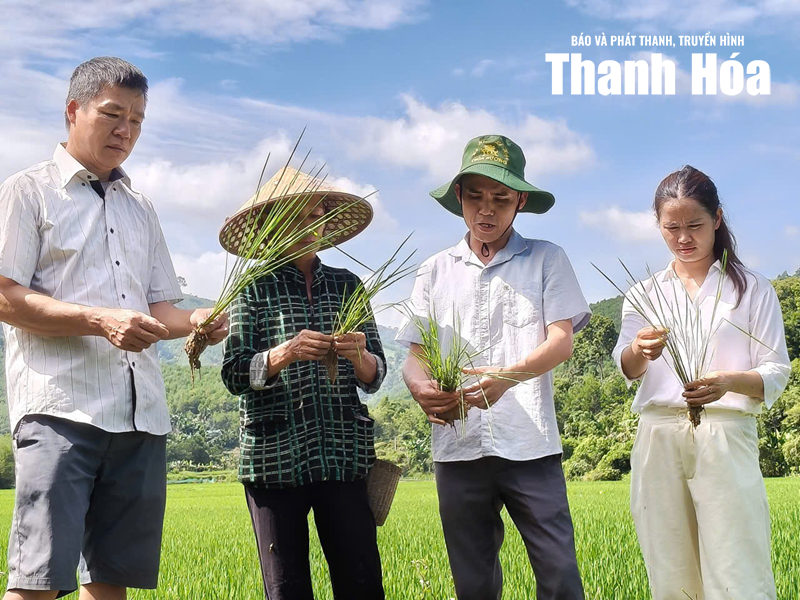 Tăng khả năng ứng phó với thiên tai từ những mô hình sinh kế bền vững