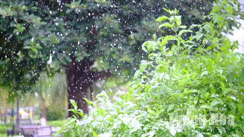 Tuyết rơi giữa mùa hè