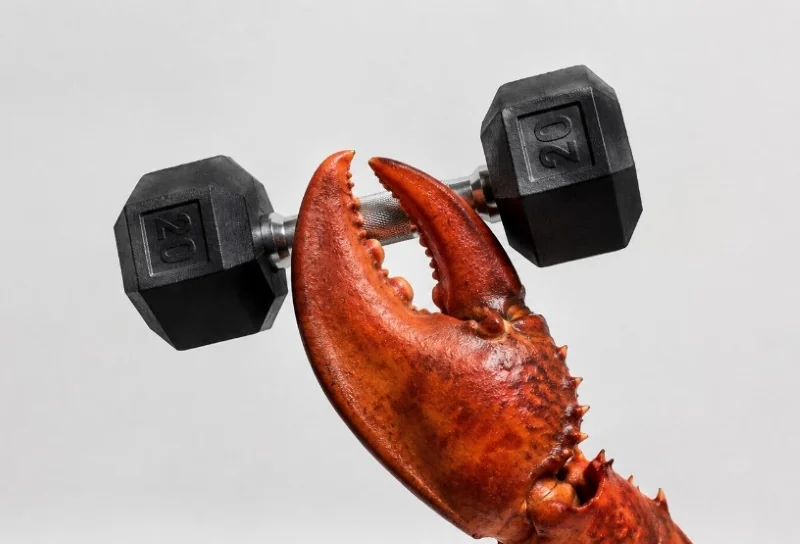 Giới công nghệ xôn xao sau khi AI xâm nhập trái phép vào hệ thống của phòng gym