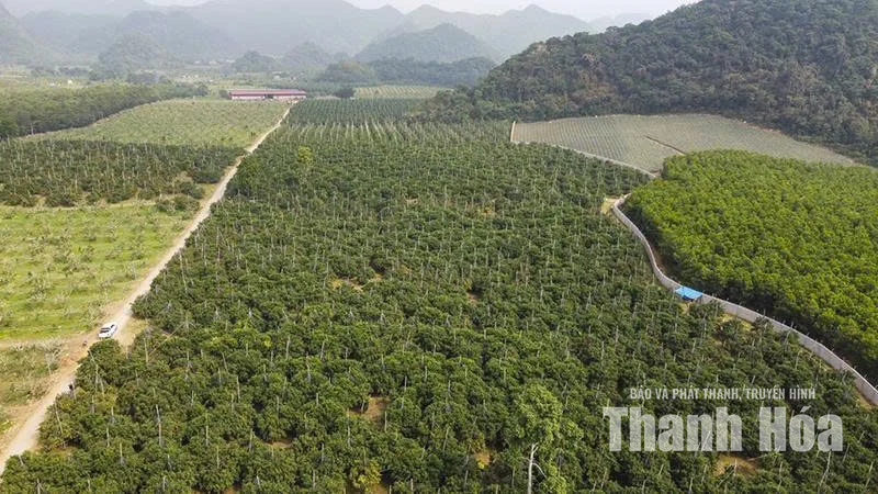 Tiếp nối tinh thần Cách mạng Tháng Tám trong kỷ nguyên mới (Bài 3): Khát&nbsp; vọng mùa thu mới