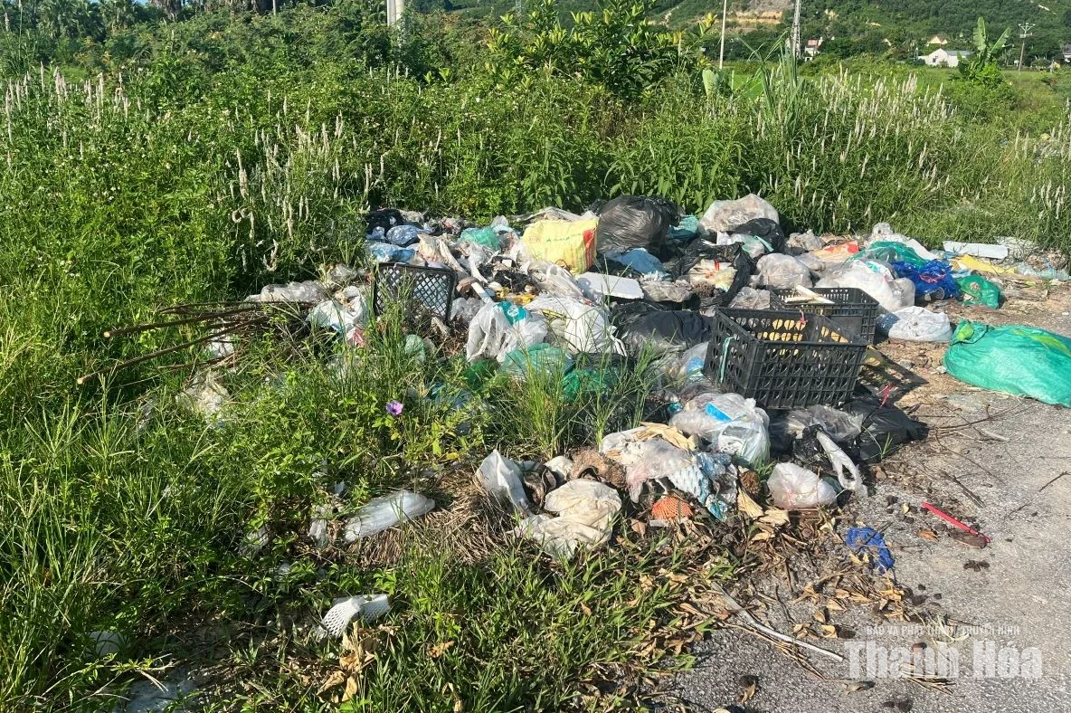 Xử lý điểm tập kết rác thải sinh hoạt tự phát tại khu vực chợ Bến Sung
