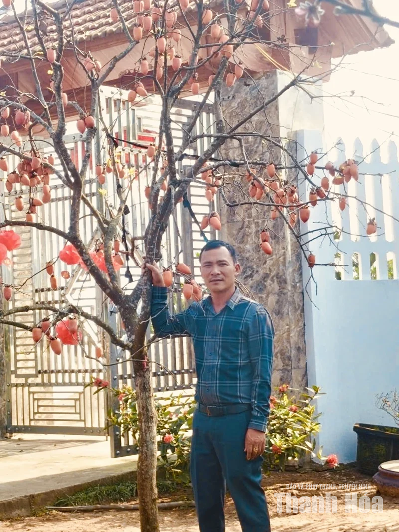 Phát triển mô hình trồng hồng tứ quý trên đất Vạn Lộc