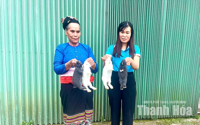 Trao cần câu, tạo sinh kế mở lối thoát nghèo