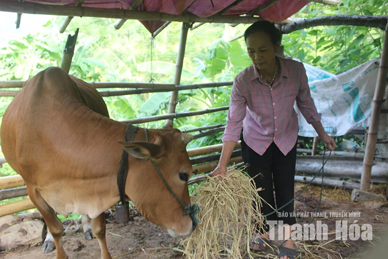 Trao cần câu, tạo sinh kế mở lối thoát nghèo