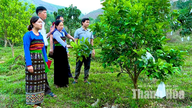 Trao cần câu, tạo sinh kế mở lối thoát nghèo