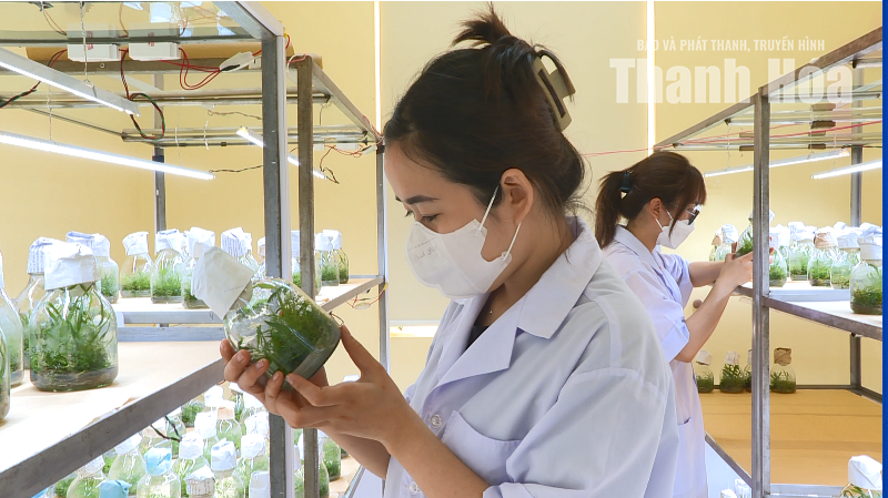 Khoa học chạm đời sống