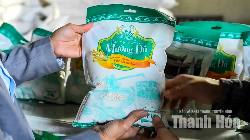 Giống lúa quý lưu giữ hồn đất Thạch Bình