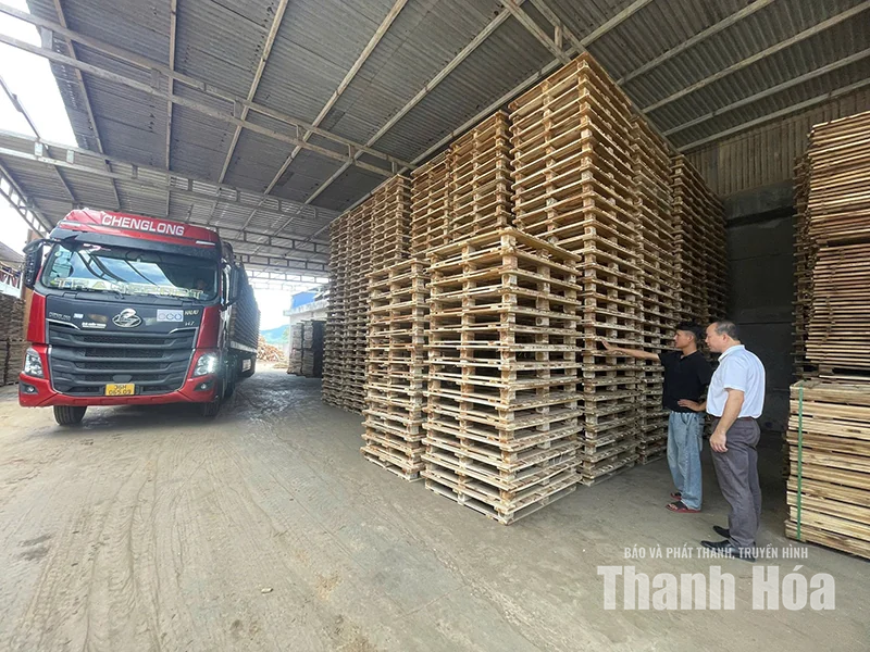 Cây keo, luồng&nbsp;sau cánh cửa nhà máy