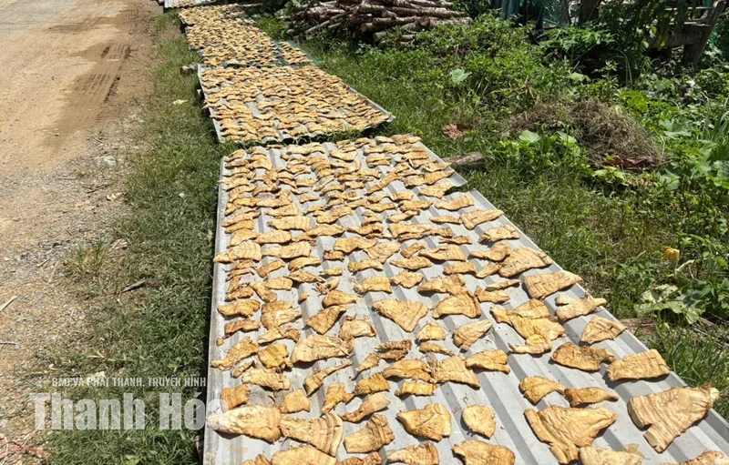 Nét đẹp bản làng vùng biên