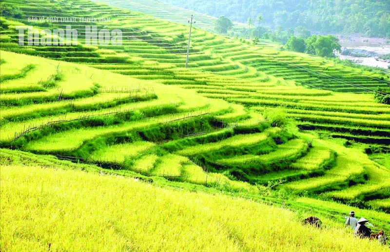Một thoáng Tén Tằn