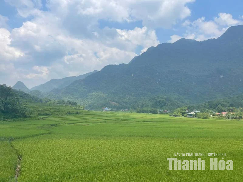 Bó&nbsp; Nủa - xanh giữa đại ngàn Pù Luông