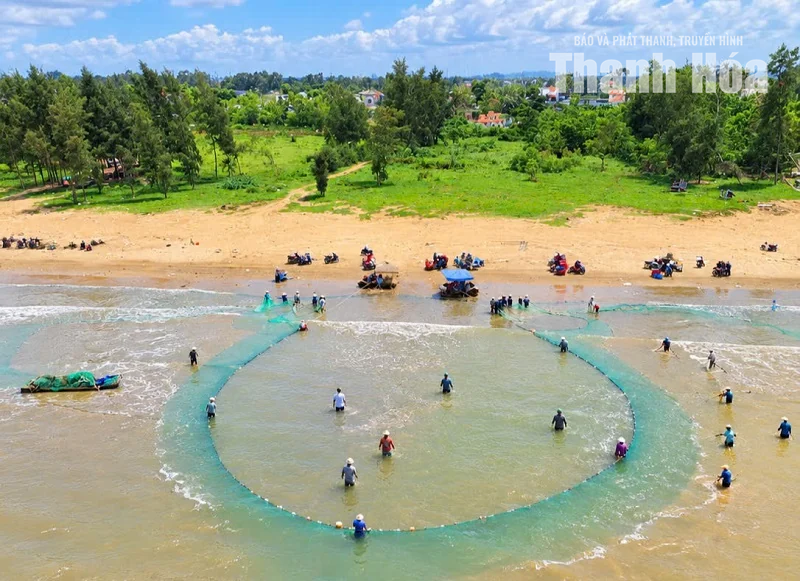 Rộn ràng làng biển