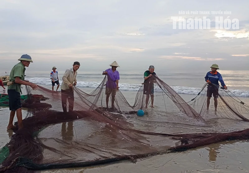 Rộn ràng làng biển