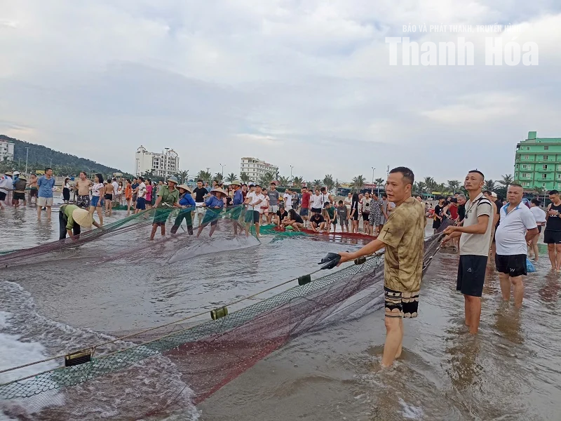 Rộn ràng làng biển