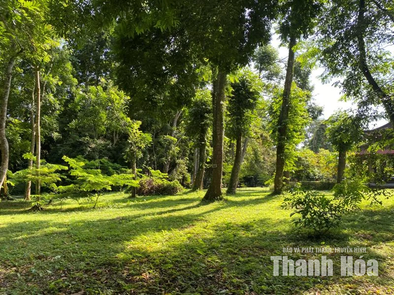Bản hùng ca còn mãi (Bài 1): Từ cuộc “bể dâu” của dân tộc