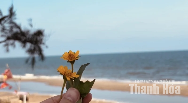 Chiều trên biển Tiên Trang