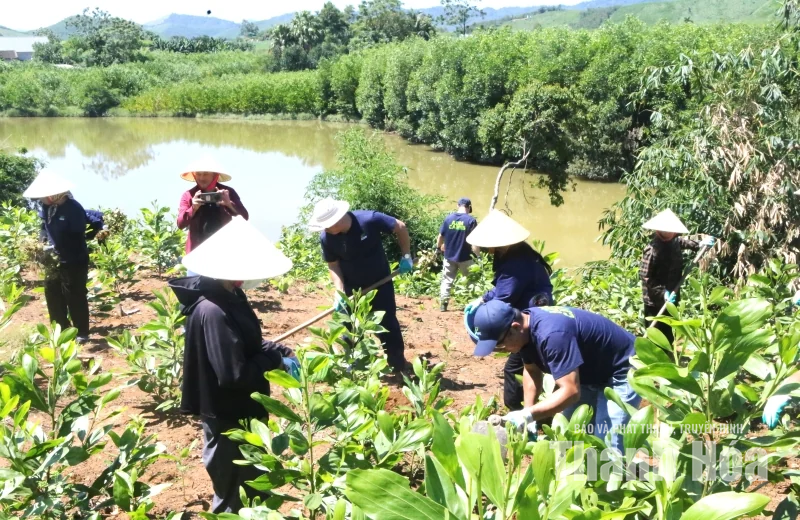 Cùng nông dân xây dựng sinh kế thích ứng với biến đổi khí hậu