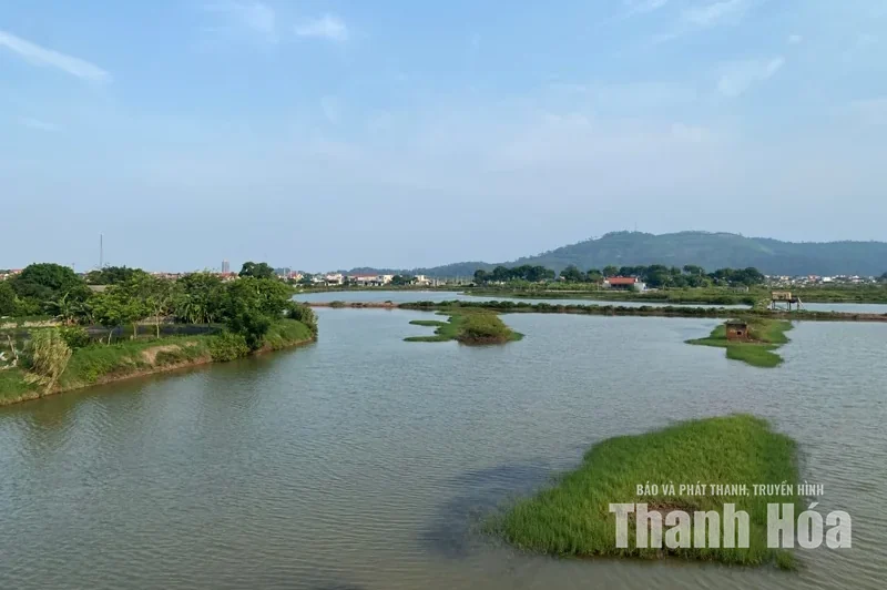 Mẹ Muội!