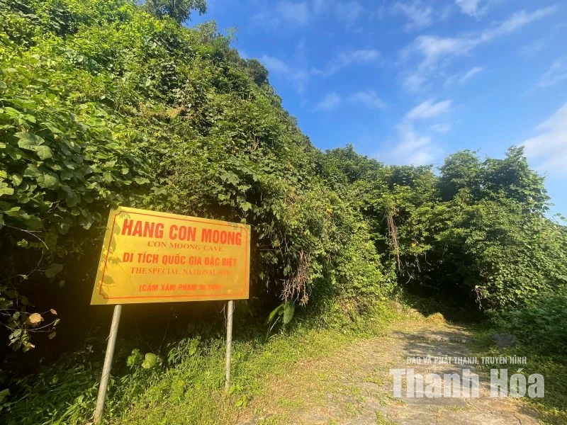 Dấu xưa trong lòng hang Con Moong
