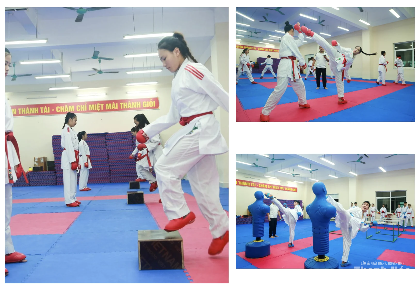 Từ những tấm huy chương đến khát vọng mới của Karate Thanh Hóa