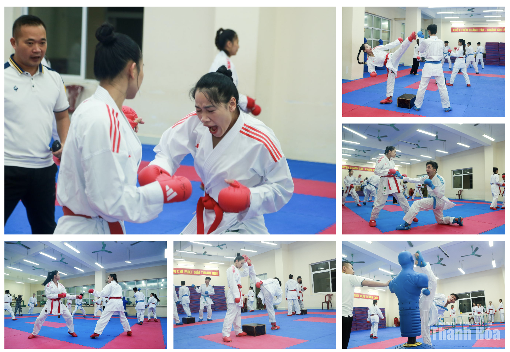 Từ những tấm huy chương đến khát vọng mới của Karate Thanh Hóa