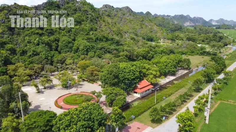 Độc đáo cây “võng tiên” bên Động Từ Thức
