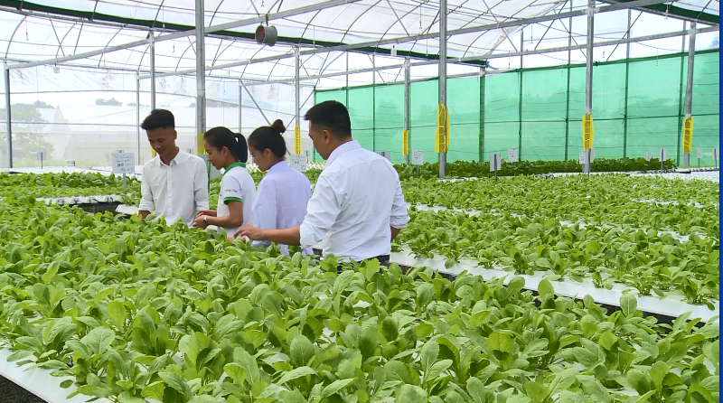Bản lĩnh doanh nhân thời đại số
