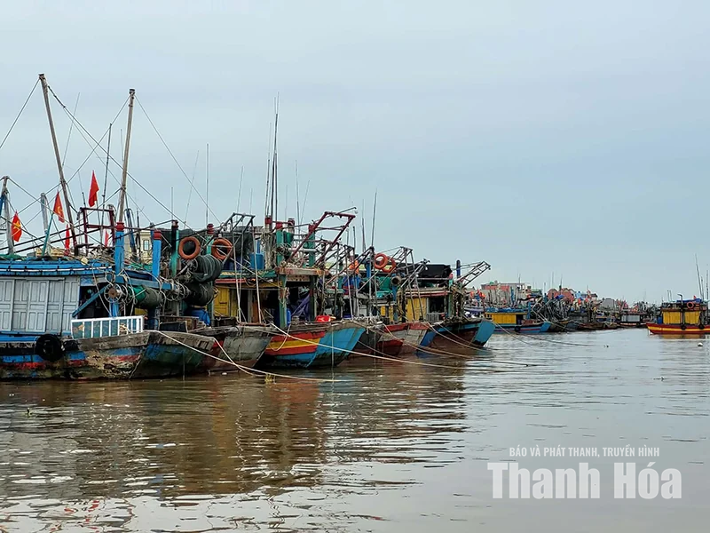 Ngư dân yên tâm vươn khơi, bám biển