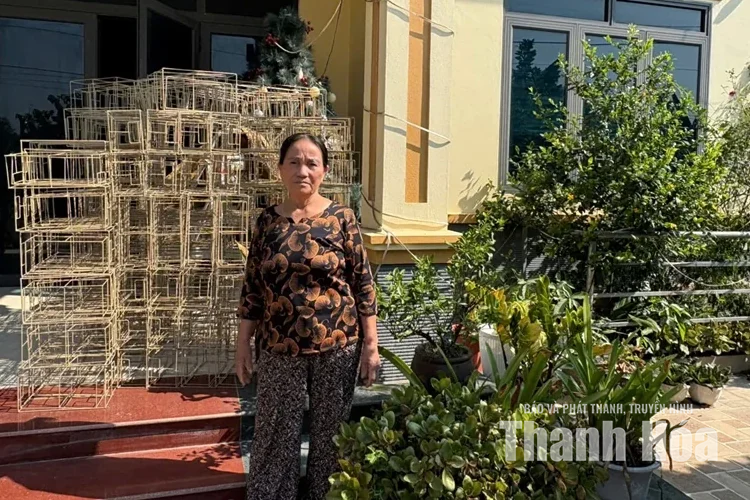 Mẹ nông dân và những mùa quả ngọt
